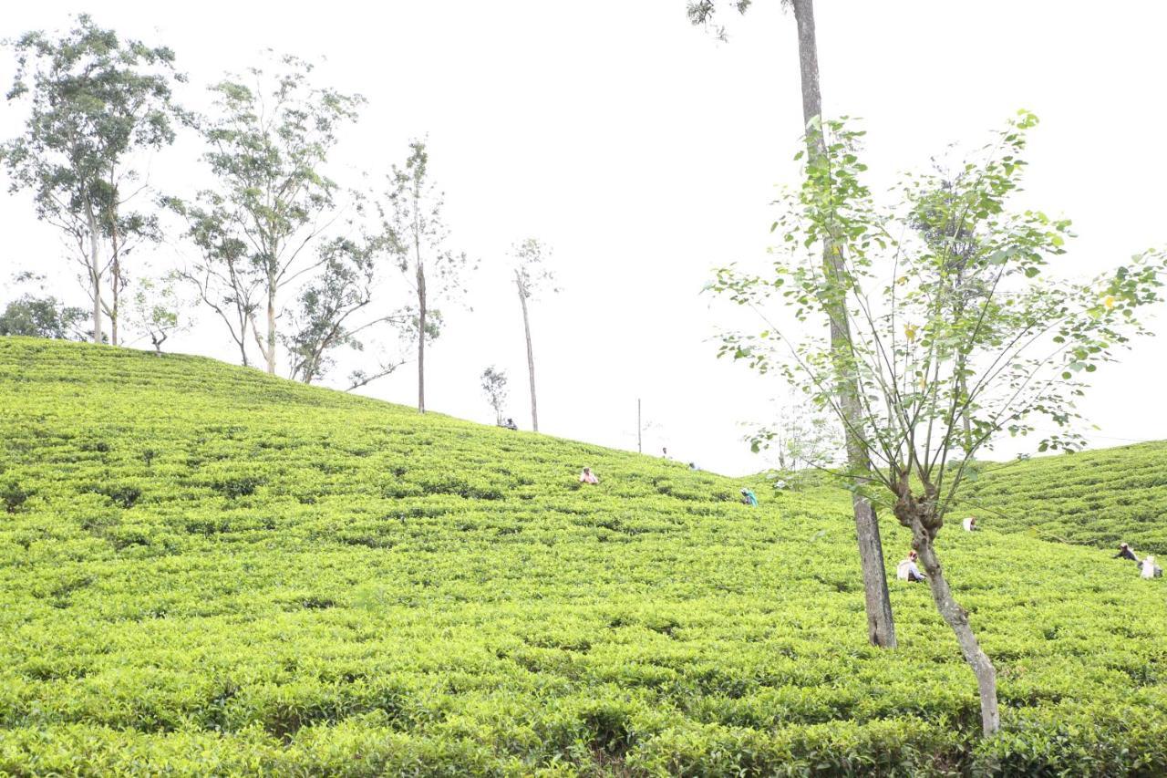 Ella Tea Land View Διαμέρισμα Εξωτερικό φωτογραφία